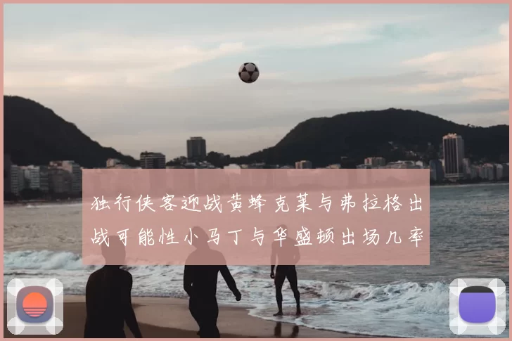独行侠客迎战黄蜂克莱与弗拉格出战可能性小马丁与华盛顿出场几率高
