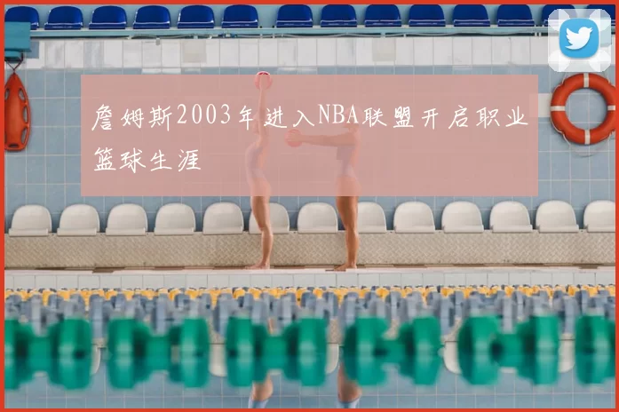 詹姆斯2003年进入NBA联盟开启职业篮球生涯