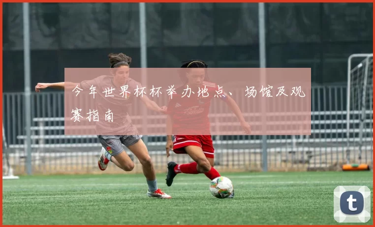 今年世界杯杯举办地点、场馆及观赛指南