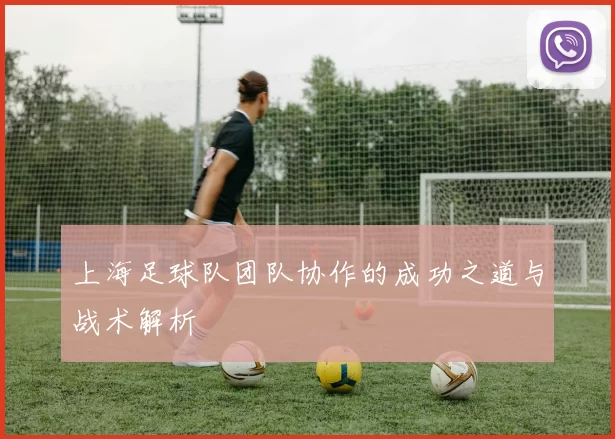 上海足球队团队协作的成功之道与战术解析