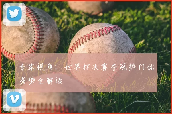 专家视角：世界杯决赛夺冠热门优劣势全解读