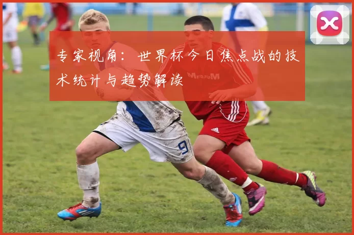 专家视角：世界杯今日焦点战的技术统计与趋势解读