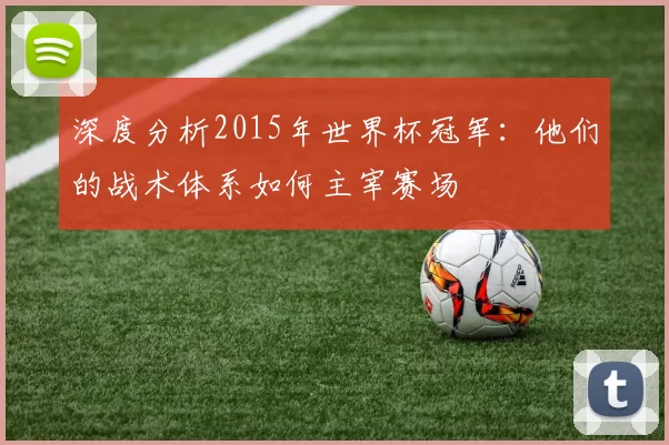 深度分析2015年世界杯冠军:他们的战术体系如何主宰赛场