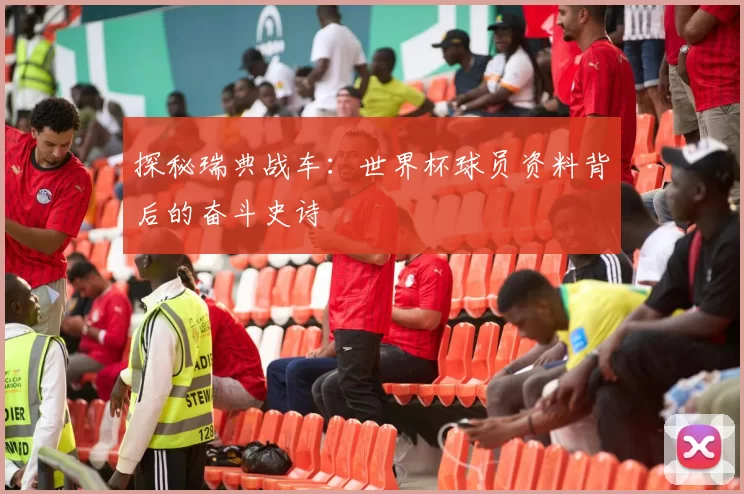 探秘瑞典战车：世界杯球员资料背后的奋斗史诗
