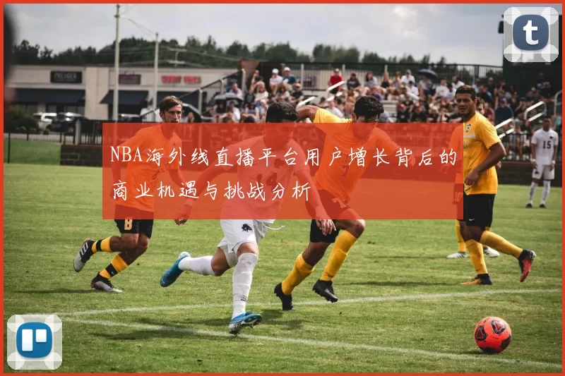 NBA海外线直播平台用户增长背后的商业机遇与挑战分析