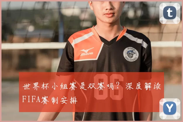 世界杯小组赛是双赛吗?深度解读FIFA赛制安排