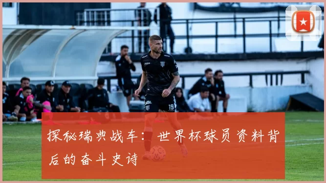 探秘瑞典战车：世界杯球员资料背后的奋斗史诗
