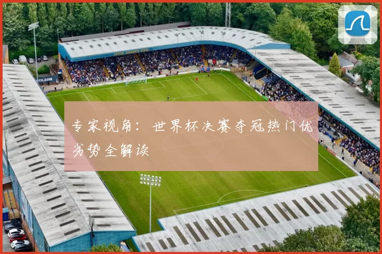专家视角：世界杯决赛夺冠热门优劣势全解读
