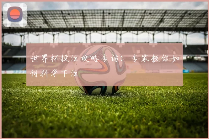 世界杯投注攻略专访：专家教你如何科学下注