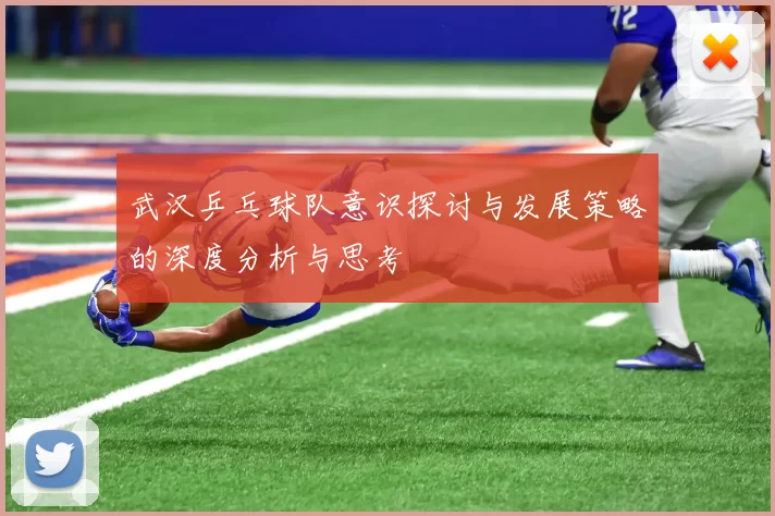 武汉乒乓球队意识探讨与发展策略的深度分析与思考