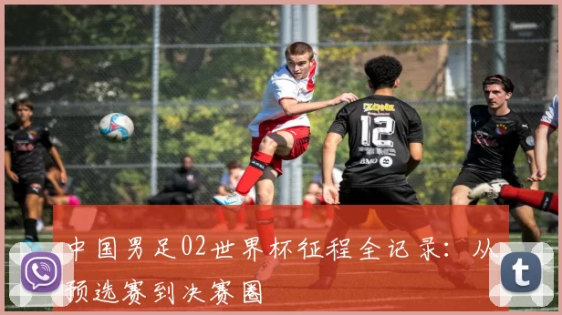 中国男足02世界杯征程全记录：从预选赛到决赛圈