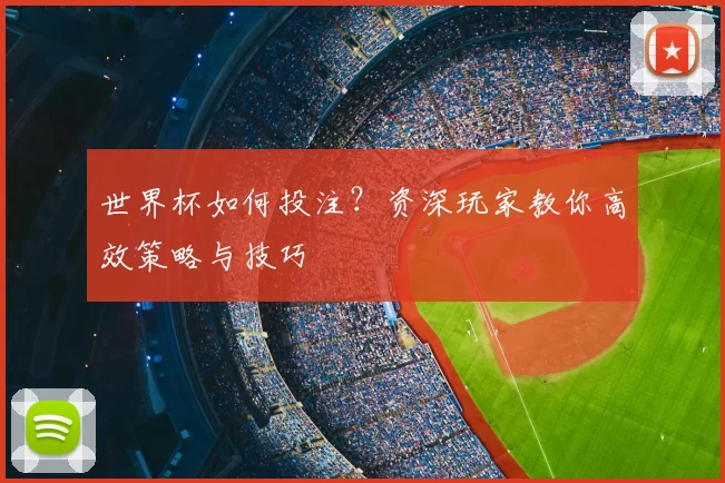世界杯如何投注？资深玩家教你高效策略与技巧