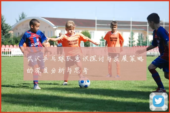 武汉乒乓球队意识探讨与发展策略的深度分析与思考