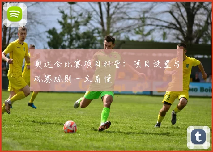 奥运会比赛项目科普：项目设置与观赛规则一文看懂