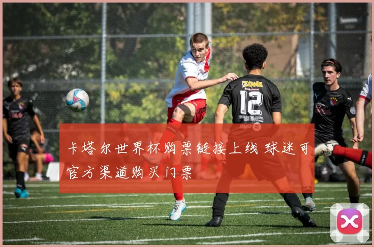 卡塔尔世界杯购票链接上线 球迷可官方渠道购买门票