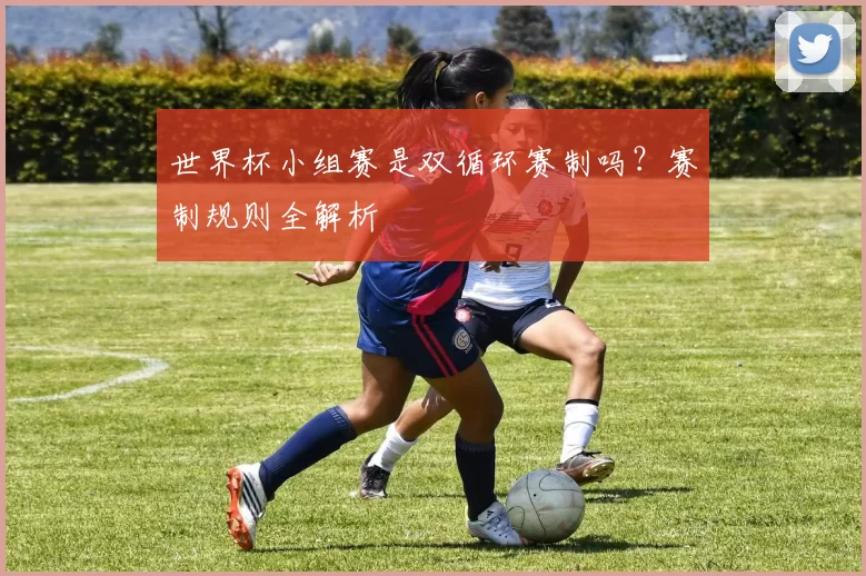世界杯小组赛是双循环赛制吗?赛制规则全解析